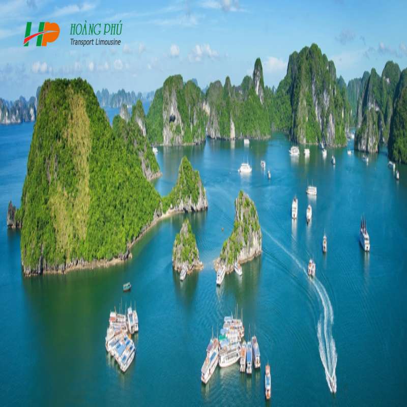 Lịch trình chi tiết gợi ý