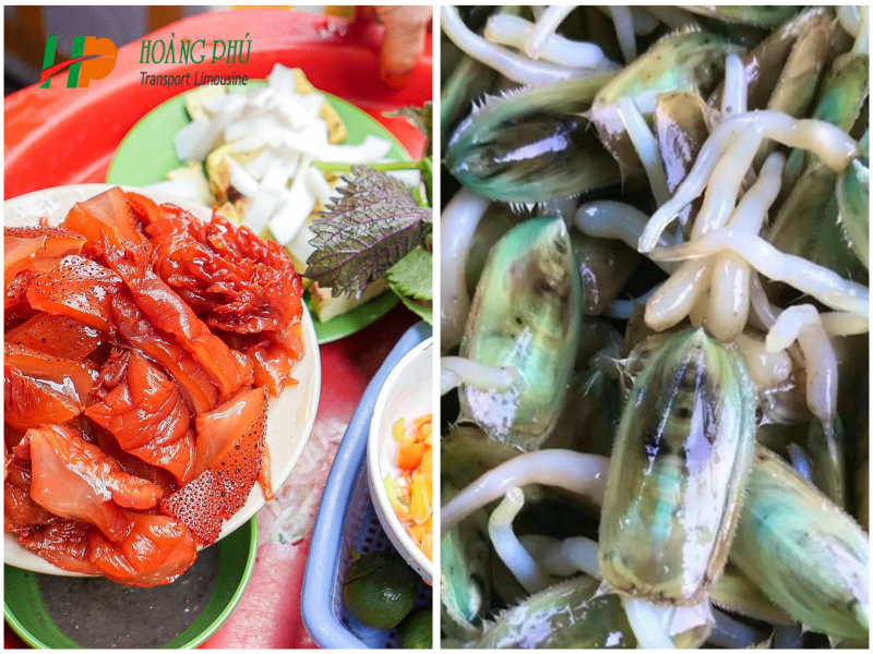 Nộm sứa đỏ & Giá bể